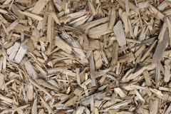 biomass boilers Fernsplatt