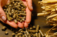 free Fernsplatt biomass boiler quotes